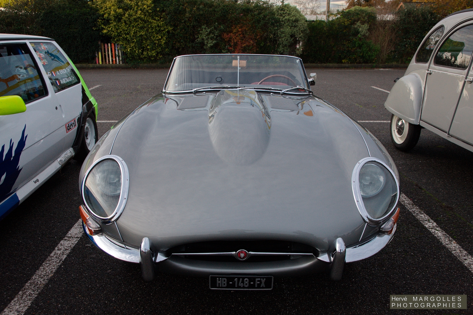 Jaguar Type E_01.jpg